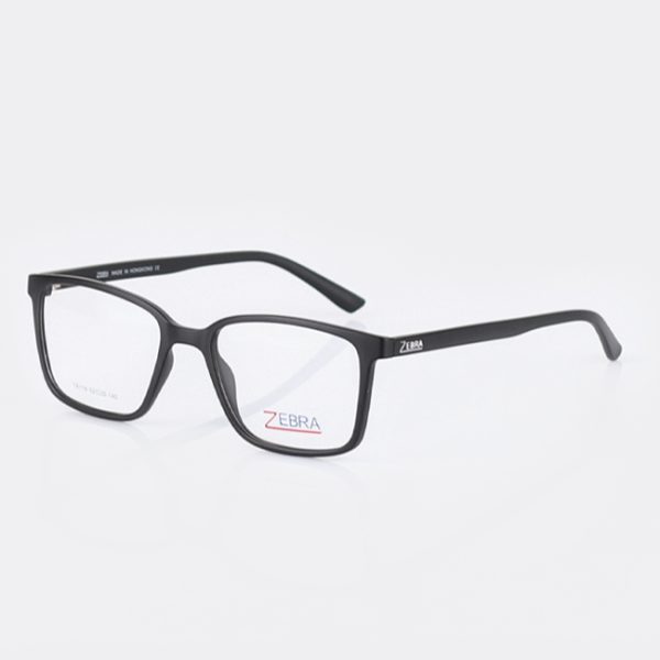 عینک طبی مردانه ZEBRA TR119